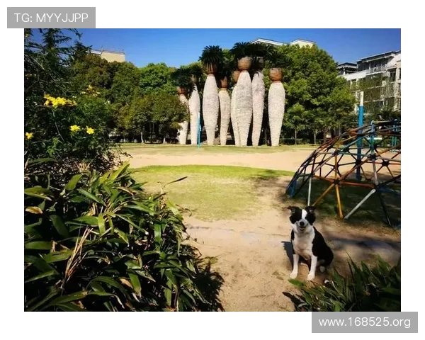 探索奥林匹克花园的迷人景观与文化魅力 探索奥林匹克花园的迷人景观与文化魅力